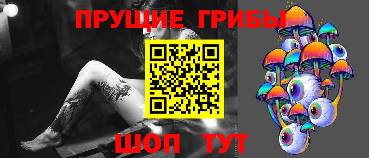 наркотики  Галлюциногенные грибы Psilocybine cubensis  Карпинск  Вход с VPN  Псилоцибиновые грибы Psilocybe 